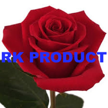 Leaves Rose Essential Oil, Certification : CE, FDA, MSDS