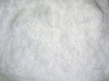 Buyer Brand desiccated coconut powder, Packaging Type : Bulk, Vacuum Pack