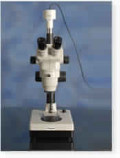 Microscope Image Projection System