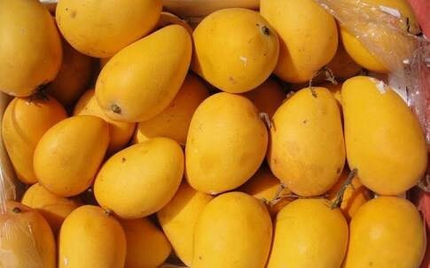 Organic kesar mango, for Direct Consumption, Juice Making, Taste : Delicious Sweet