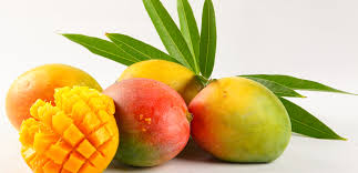 Organic Natural Mango, for Direct Consumption, Food Processing