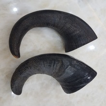 WATER BUFFALO HORN CHEWS, for Dogs
