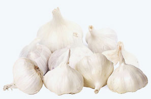 Organic Extra Ladva Garlic, for Fast Food, Snacks, Feature : Gluten Free, Moisture Proof
