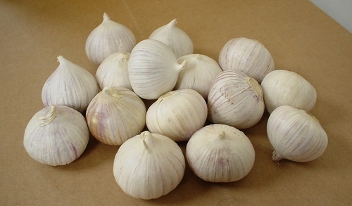 Organic Medium Garlic, for Cooking, Feature : Gluten Free, Moisture Proof