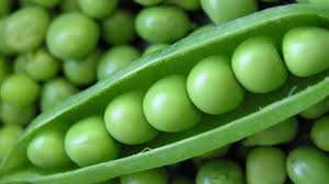 Common Fresh Peas, Packaging Type : Plastic Bag or Polythene, Sack Bags, Carton