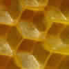 Organic Bees Wax, for Candles, Lip Balm, Skin Moisturizer, Form : Granules, Liquid, Solid