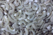 Vannamei shrimp, Certification : EEC, FDA, HACCP