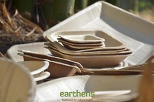 Earthens Palm Leaf Dinnerware, Certification : SGS