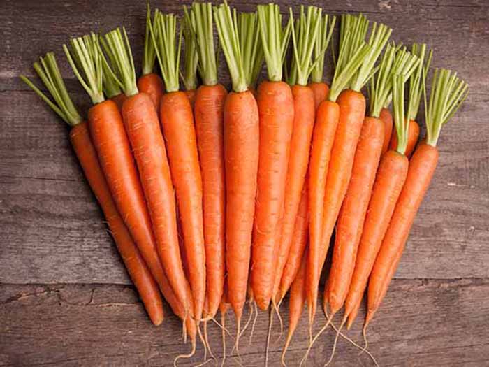 Organic Fresh Carrot, for Food, Juice, Pickle, Taste : Sweet