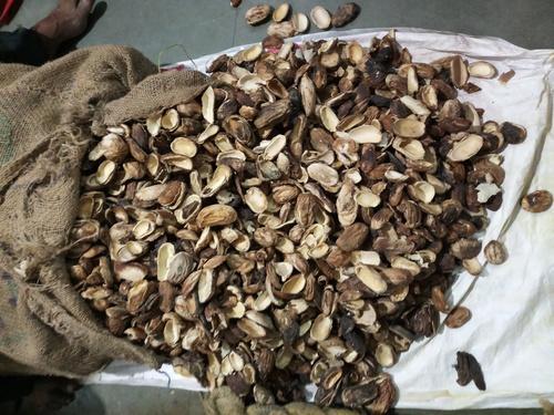 Dry Mango Amchur Khapta, Shelf Life : 1years