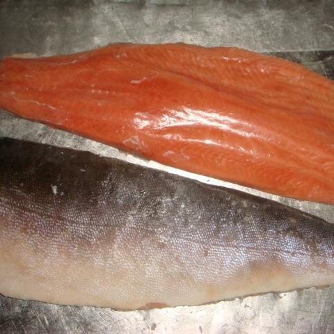 Frozen chum salmon fillets Oncorhynchus Keta fillet