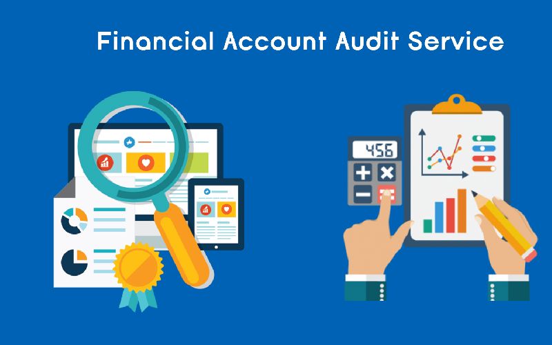 Financial Account Audit Service
