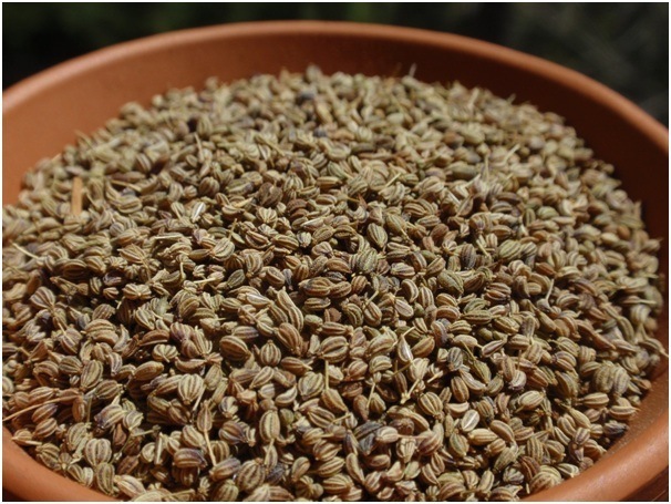 Ajwain seeds, Grade : Food Grade