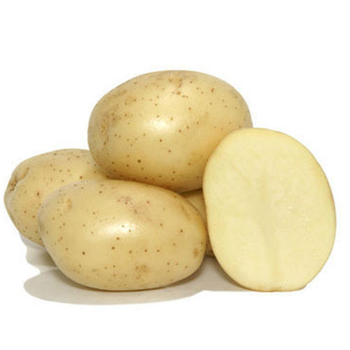 Organic Badshah Potato, for Restaurant, Snacks, Packaging Size : 10-20kg