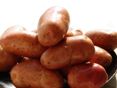 Organic Lady Rosetta Potato, for Home, Restaurant, Packaging Size : 20-30kg