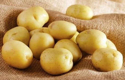 Organic Natural Potato, Shelf Life : 3 Months