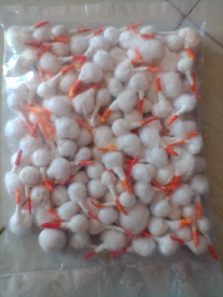 Coloured Cotton Wicks, Size : 3-4 Inches