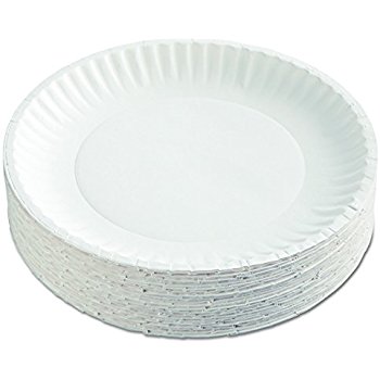 Round White Paper Plate, for Event, Party, Snacks