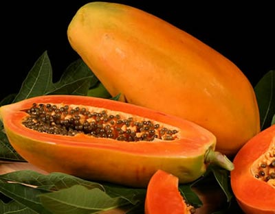 Common fresh papaya, Shelf Life : 1week