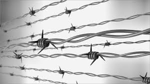 barbed wire