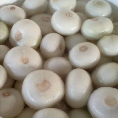 Preserved White Onion, for Human Consumption, Feature : Good Purity, High Quality, Hygienic