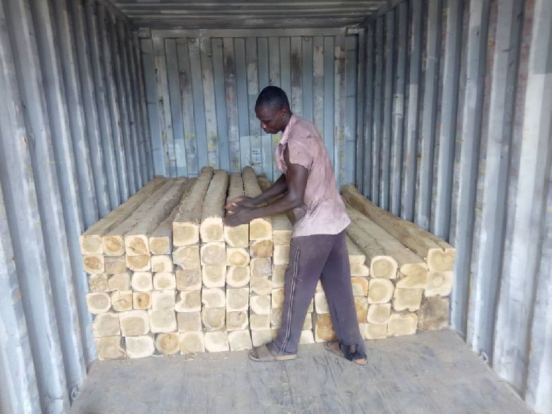 Wood logs, Shape : Round for Boats, Making Furniture