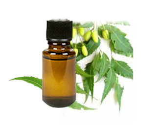 Azadirachta Indica neem oil, Grade : cold pressed