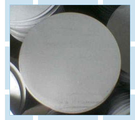 Stainless Steel Forged Discs