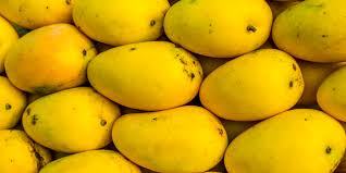 Organic Chaunsa Mango, Color : Yellow
