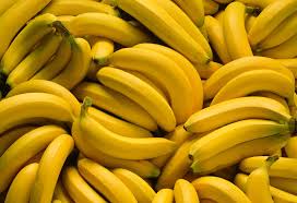 Organic fresh banana, Feature : Easily Affordable, Healthy Nutritious