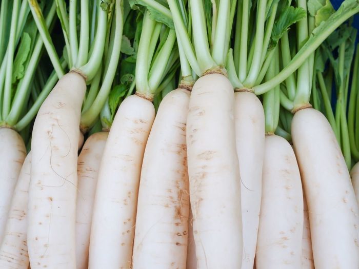 Fresh Radish