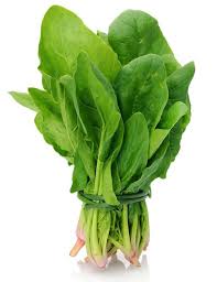 Organic Fresh Spinach, Color : Green