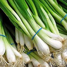 Organic Fresh Spring Onion, for Human Consumption, Packaging Type : Jute Bags, Plastic Bags