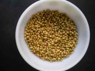 coriander