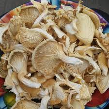 Organic Dried White Oyster Mushrooms, for Cooking, Style : Preserved