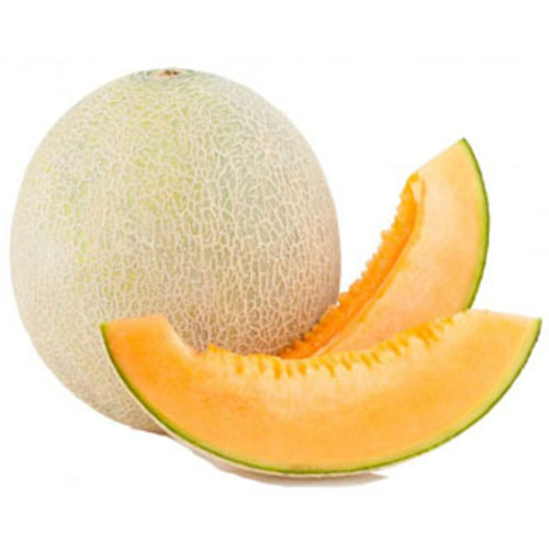Organic Fresh Muskmelon, Color : Natural Orange