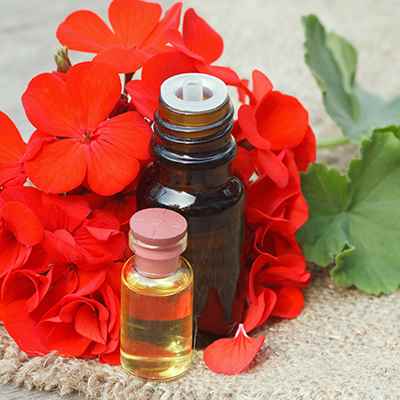 Aromatic Geranium Oil, for Diffusion, Massage., Purity : 100 %