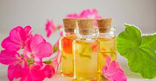 Natural Geranium Oil, for Diffusion, Massage., Purity : 100 %