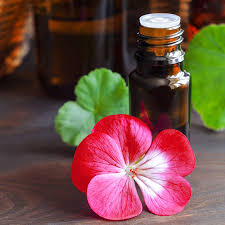 Organic Geranium Oil, for Diffusion, Massage., Purity : 100 %