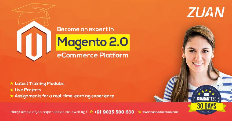 Magento Development Services