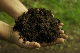 Organic fertilizer, for Agriculture, Soil Application, Soil Conditioner