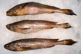 Big Mouth Croaker Fish, For Cooking, Food, Human Consumption, Making Medicine, Making Oil, Style : Fresh