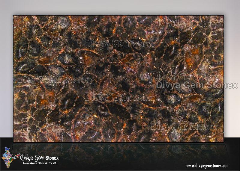 Buy Black Petrified Wood Slab From Divya Gem Stonex Ajmer India