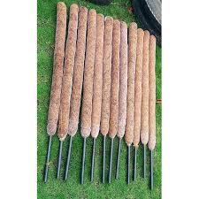 Coir stick, Length : 3-4 Feet