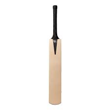 Englsh Willow Plain 1kg Plastic cricket bat, Feature : Fine Finish, Light Weight