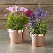 Acrylic Non Polished Flower Pot, for Outdoor Decoration, Plantation, Feature : Anitque, Decorative