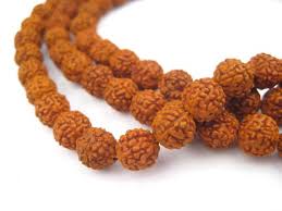 Rudraksha Beads, Color : Brown, Dark Brown