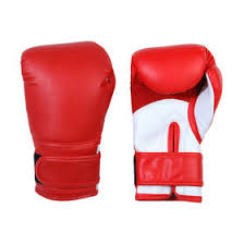 Punching Gloves