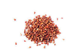 agriculture seed
