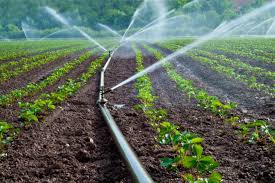 Irrigation & Watering Supplies